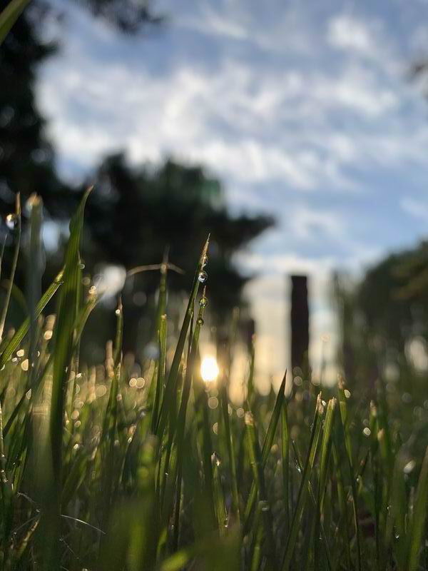 �ڲ��������רҵЧ��,����Ϊ��