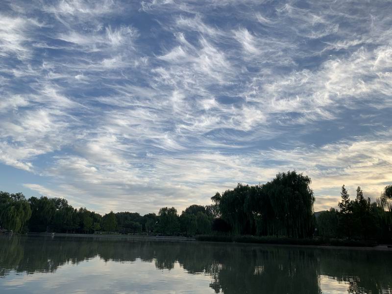 �ڲ��������רҵЧ��,����Ϊ��