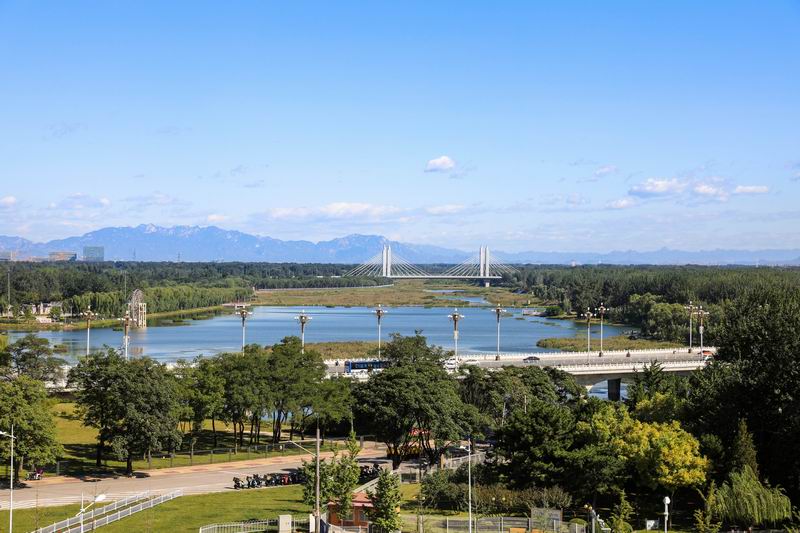 �ڲ��������רҵЧ��,����Ϊ��