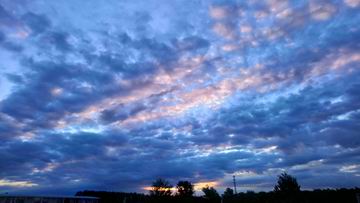 �ڲ��������רҵЧ��,����Ϊ��