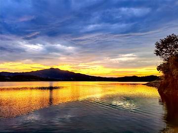 �ڲ��������רҵЧ��,����Ϊ��