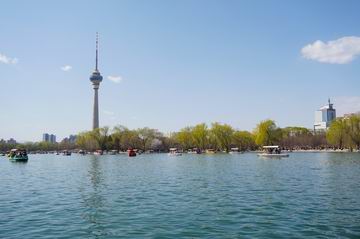 �ڲ��������רҵЧ��,����Ϊ��