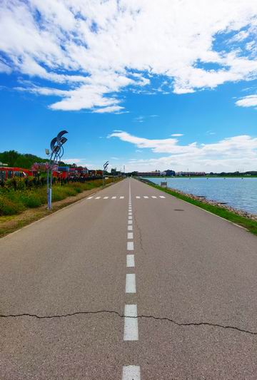 �ڲ��������רҵЧ��,����Ϊ��