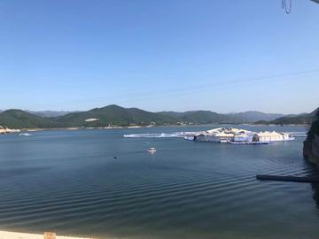 �ڲ��������רҵЧ��,����Ϊ��