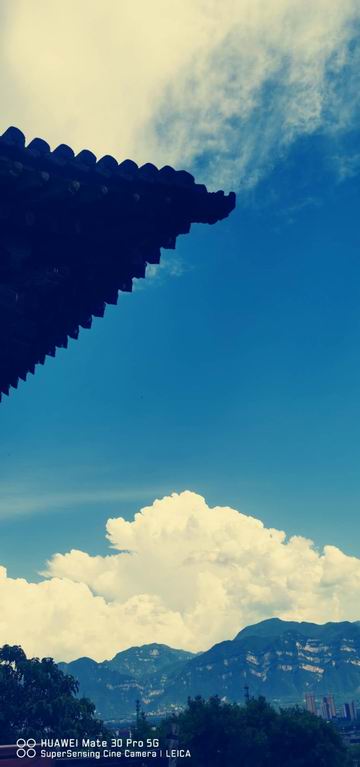 �ڲ��������רҵЧ��,����Ϊ��