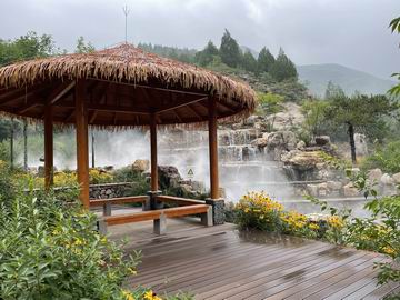 �ڲ��������רҵЧ��,����Ϊ��