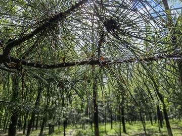 �ڲ��������רҵЧ��,����Ϊ��