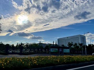 �ڲ��������רҵЧ��,����Ϊ��