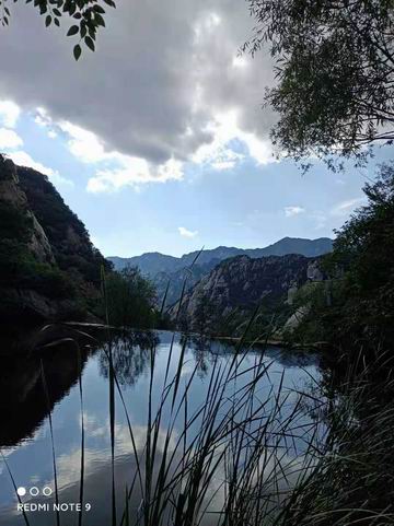 �ڲ��������רҵЧ��,����Ϊ��