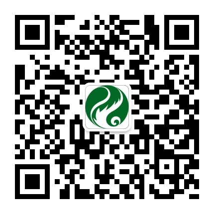 �ڲ��������רҵЧ��,����Ϊ��