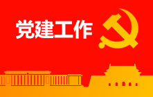 �ڲ��������רҵЧ��,����Ϊ��