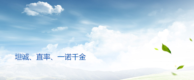 �ڲ��������רҵЧ��,����Ϊ��