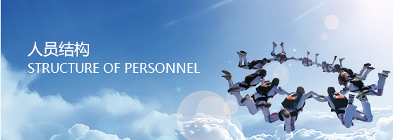 �ڲ��������רҵЧ��,����Ϊ��