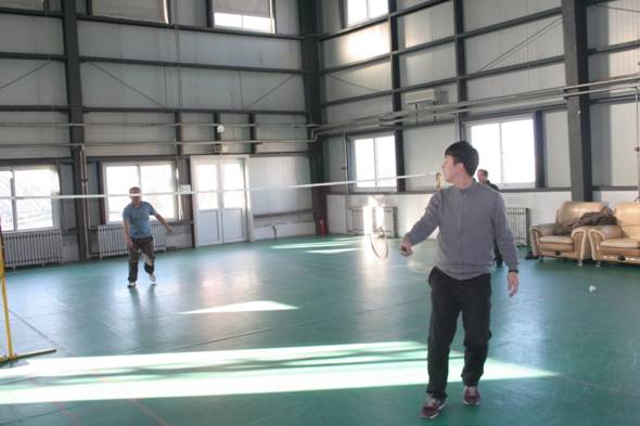 �ڲ��������רҵЧ��,����Ϊ��