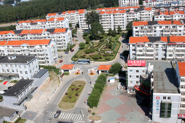 �ڲ��������רҵЧ��,����Ϊ��