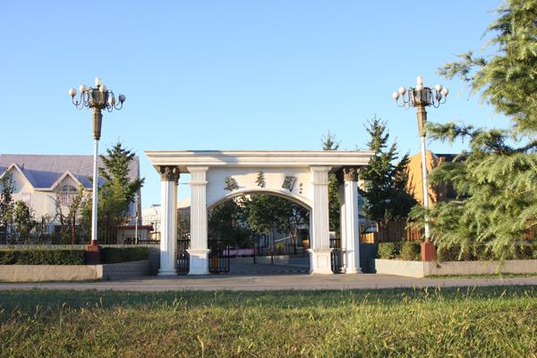 �ڲ��������רҵЧ��,����Ϊ��