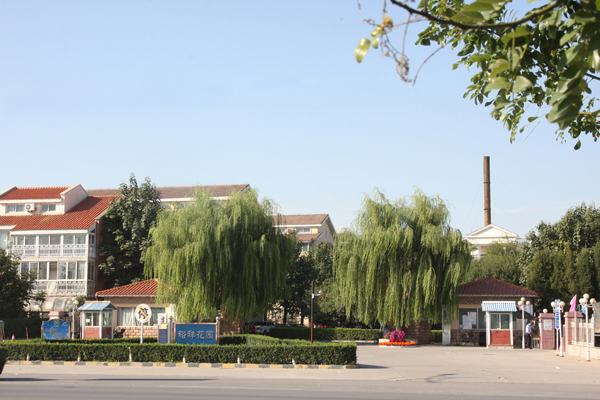 �ڲ��������רҵЧ��,����Ϊ��