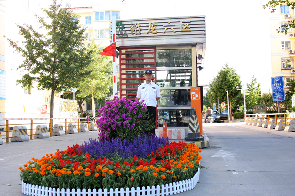 �ڲ��������רҵЧ��,����Ϊ��