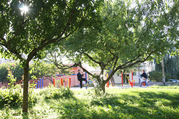 �ڲ��������רҵЧ��,����Ϊ��