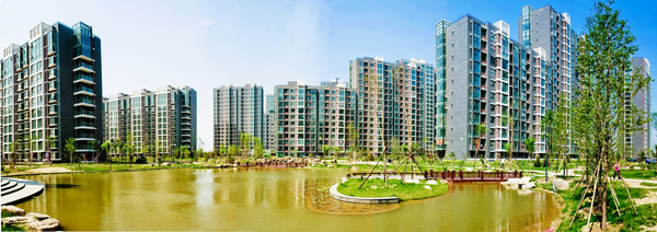 �ڲ��������רҵЧ��,����Ϊ��