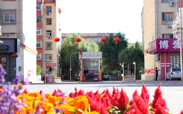 �ڲ��������רҵЧ��,����Ϊ��