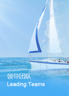 �ڲ��������רҵЧ��,����Ϊ��