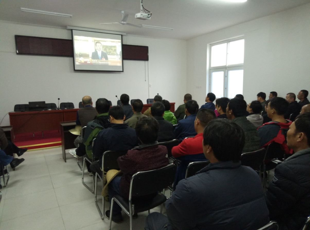 �ڲ��������רҵЧ��,����Ϊ��