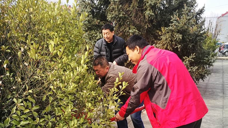 �ڲ��������רҵЧ��,����Ϊ��