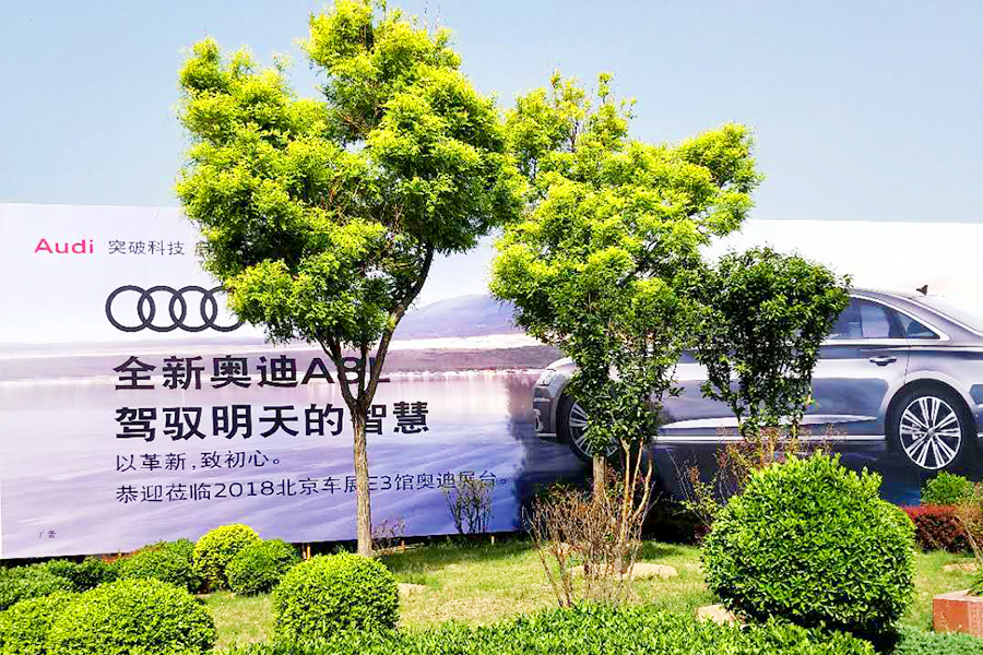 �ڲ��������רҵЧ��,����Ϊ��