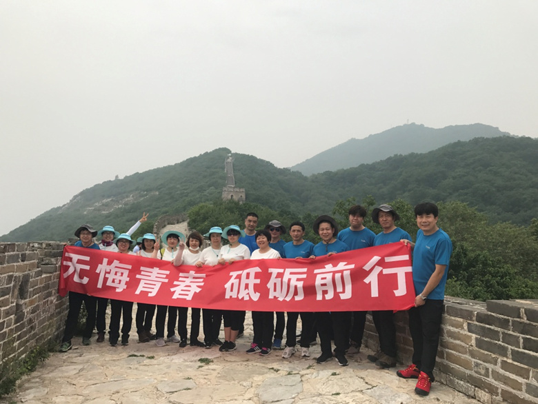 �ڲ��������רҵЧ��,����Ϊ��