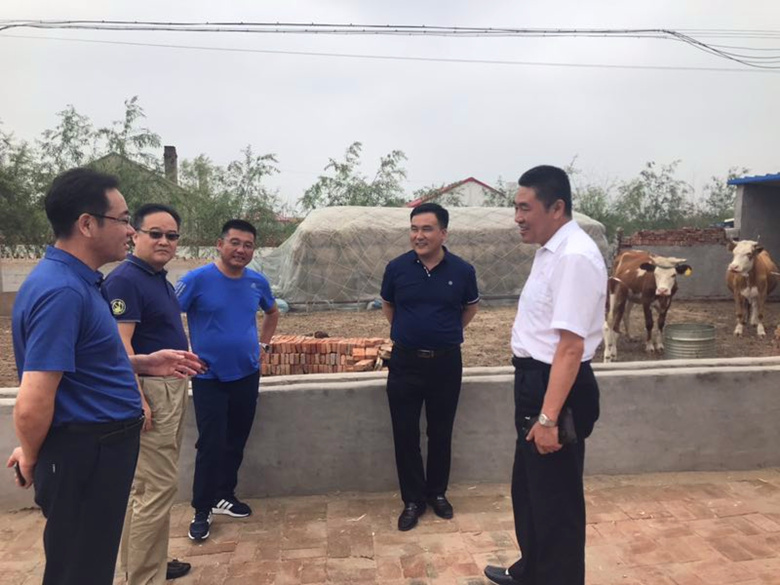 �ڲ��������רҵЧ��,����Ϊ��