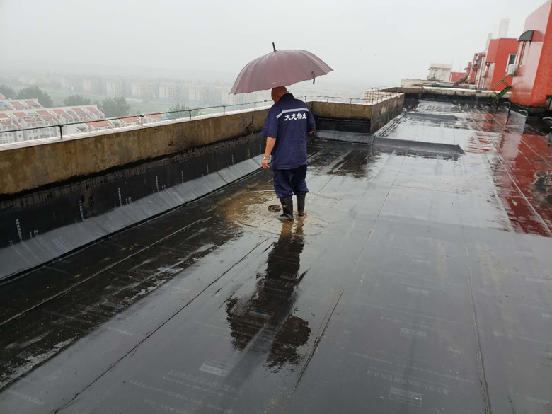 �ڲ��������רҵЧ��,����Ϊ��