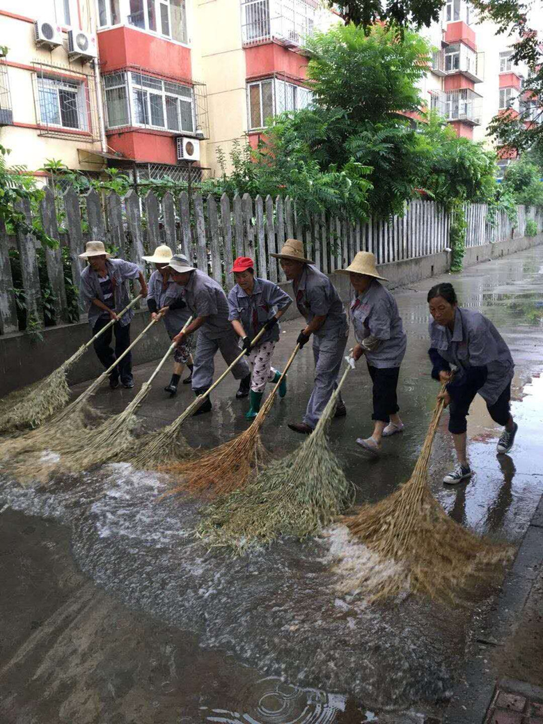 �ڲ��������רҵЧ��,����Ϊ��