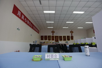 �ڲ��������רҵЧ��,����Ϊ��