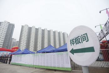 �ڲ��������רҵЧ��,����Ϊ��