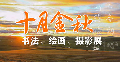 �ڲ��������רҵЧ��,����Ϊ��