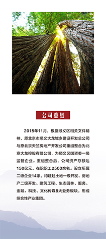 �ڲ��������רҵЧ��,����Ϊ��