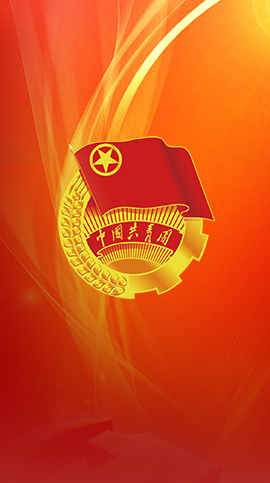 �ڲ��������רҵЧ��,����Ϊ��