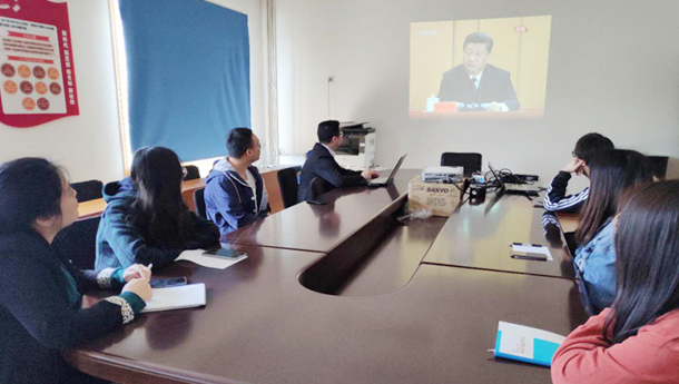 �ڲ��������רҵЧ��,����Ϊ��