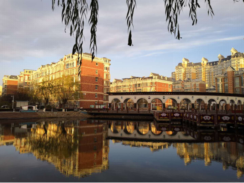 �ڲ��������רҵЧ��,����Ϊ��