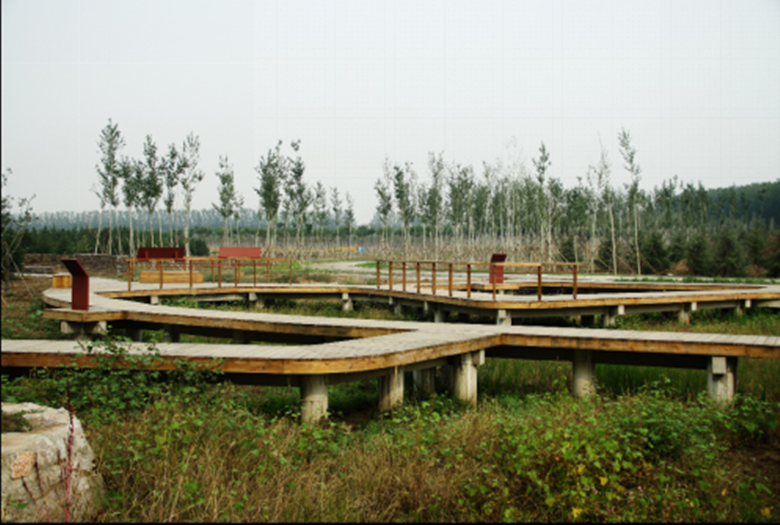 �ڲ��������רҵЧ��,����Ϊ��