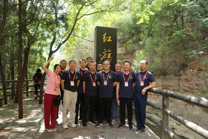 �ڲ��������רҵЧ��,����Ϊ��