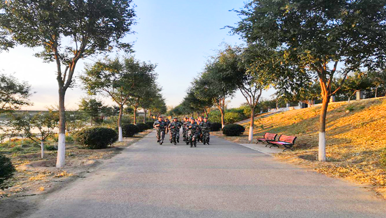 �ڲ��������רҵЧ��,����Ϊ��