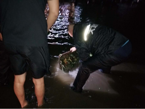 �ڲ��������רҵЧ��,����Ϊ��