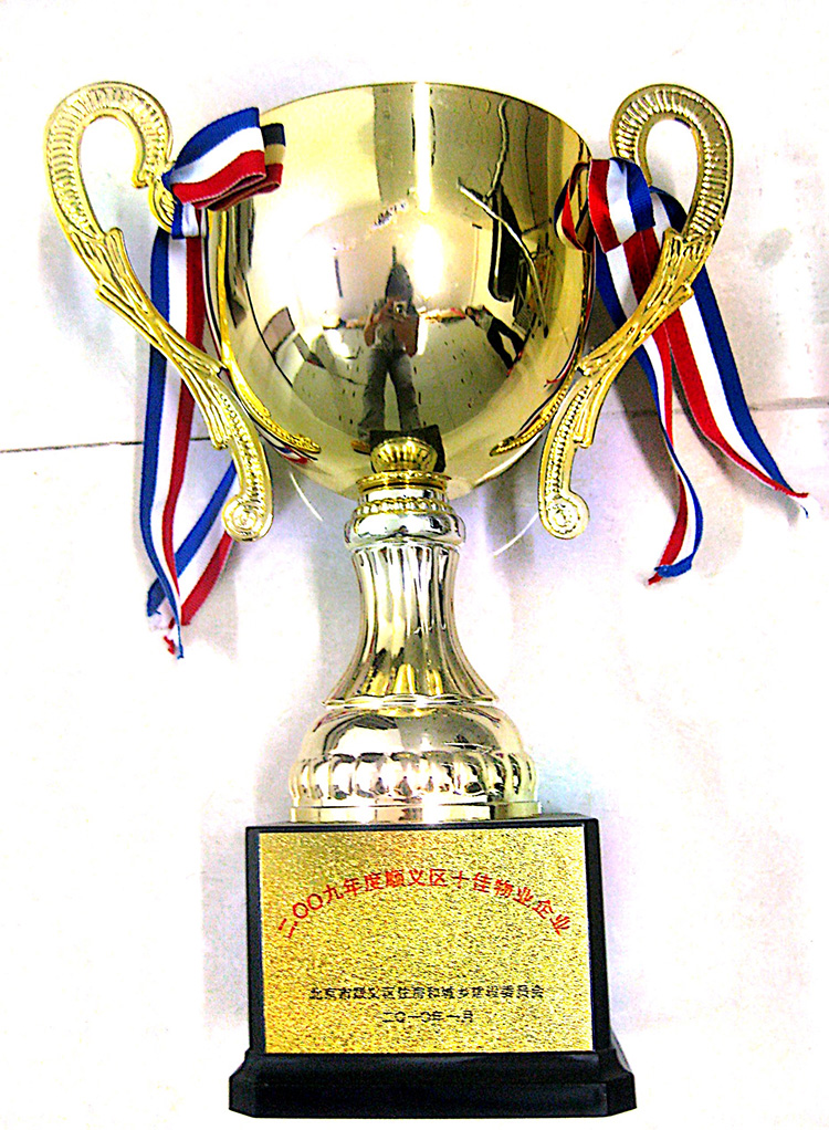 �ڲ��������רҵЧ��,����Ϊ��