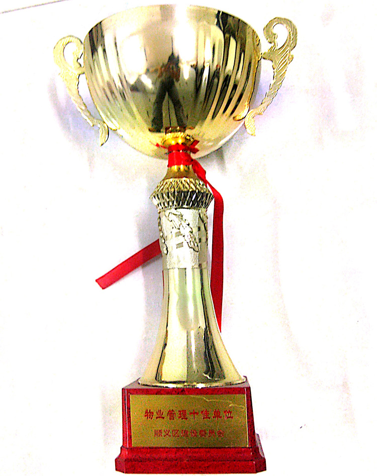 �ڲ��������רҵЧ��,����Ϊ��