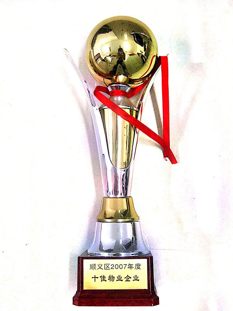 �ڲ��������רҵЧ��,����Ϊ��