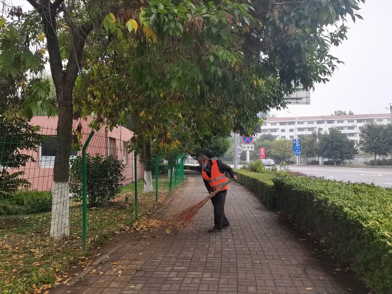 �ڲ��������רҵЧ��,����Ϊ��