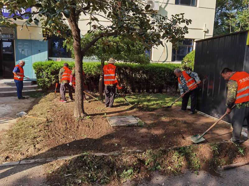 �ڲ��������רҵЧ��,����Ϊ��