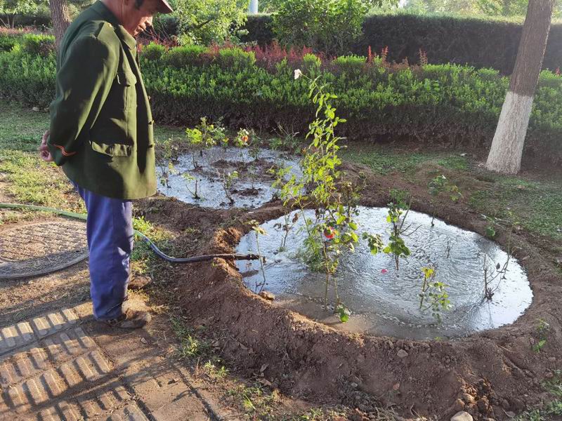 �ڲ��������רҵЧ��,����Ϊ��